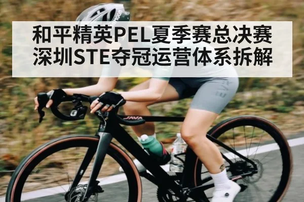 和平精英PEL夏季赛总决赛深圳STE夺冠运营体系拆解