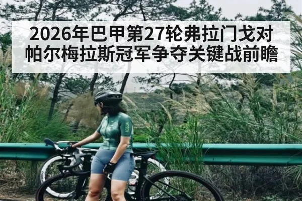 2026年巴甲第27轮弗拉门戈对帕尔梅拉斯冠军争夺关键战前瞻